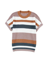 Camel Classic Round Neck Colorblock Knit Sweater