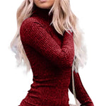 Women Sheath Dress Sexy High Collar Sexy Slim Spring Dress Lady Sweater Anti-shrink Stretch Bodycon Pullover Mini Sweater Dress