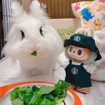 Labubu Clothes Outfit V1 V2 Work Uniform Keychain Set Mini Barista Costume Doll Clothes Collection For Sitting Dolls Display